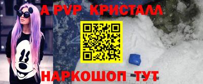 молекула духа Ярославль