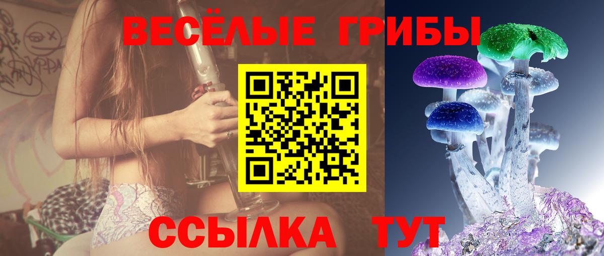 Псилоцибиновые грибы Cubensis Богданович