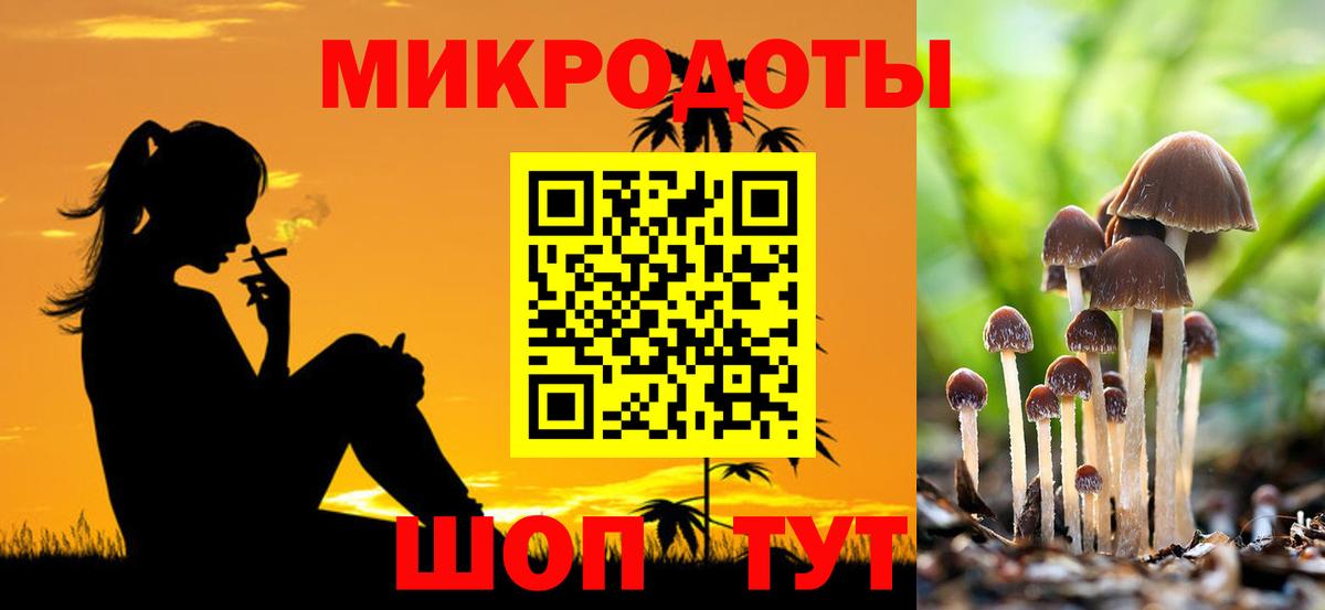 Богданович  Галлюциногенные грибы прущие грибы  Вход с VPN 